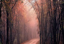 “全红婵退出国家队”？广东省跳水队辟谣：已返回北京继续随国家队训练广州日报微博.