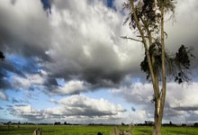 [澳网]袁悦无缘澳网女单第二轮.