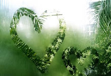 勒沃库森1-2比勒菲尔德无缘德国杯决赛.