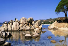 美短跑名宿约翰逊创新联赛 推动径赛运动发展.